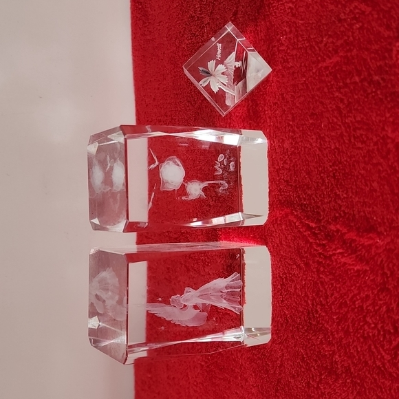 3 piece of 3D Glass paper weights Display. - Picture 3 of 10
